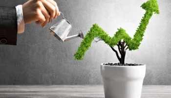 Инвестиции для чайников: куда вкладывать? Инвестиции для чайников: куда вкладывать?